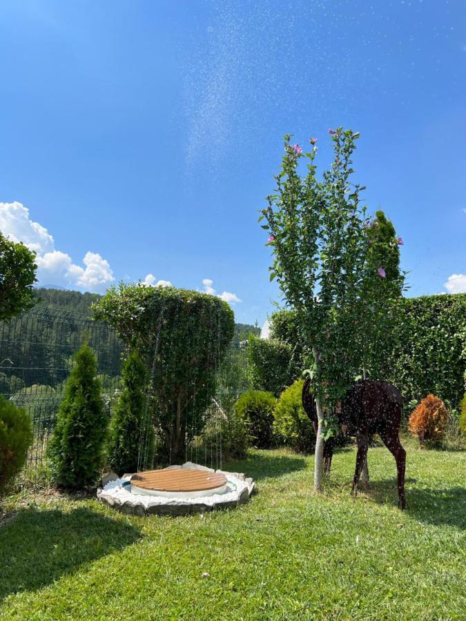 Katarino Spa Chalet Razlog Exterior photo